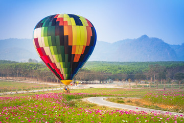 Hot air balloon colourful in the garden cosmos flower