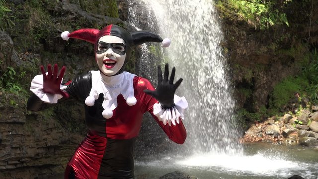 Sexy Female Cosplay Jester