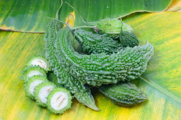 Bitter melon Or Bitter gourd
