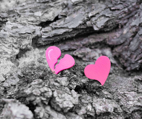 Fototapeta premium Two hearts on a rock