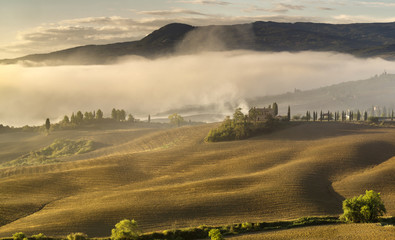 Piękny mglisty toskański pejzaż o poranku