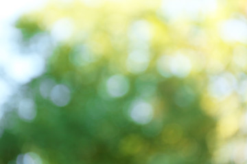 Blurred autumn background