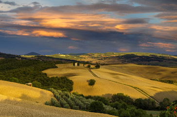 Wieczorny krajobraz Toskanii