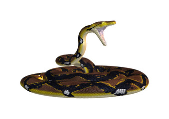 Naklejka premium Reticulated Python on White