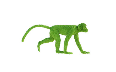 green monkey from the grass render 3D