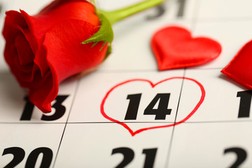 Calendar with date of February 14 and rose flower. Valentines day concept