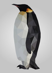 Fototapeta premium Penguin bird standing and looking vector