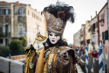 Fototapeta na wymiar Venice - February 6, 2016: Colourful carnival mask through the streets of Venice and in St. Mark's Square during celebration of the most famous carnival in the world. 