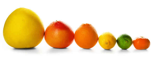 Mixed citrus fruit including a grapefruit, an orange, a lemon, a tangerine, a lime and a pomelo fruit lined and isolated on a white background, close up