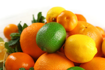 Set of different citrus fruit, close up