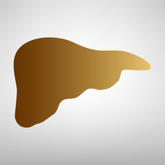 Human anatomy. Liver sign