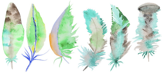 Fototapeta na wymiar Set of watercolor feathers
