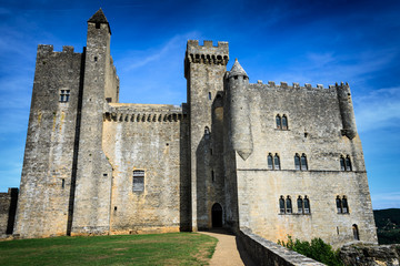 Medieval castle along Dordogne river