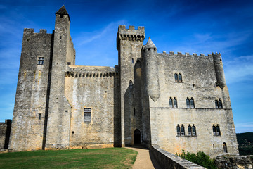 Fototapeta na wymiar Medieval castle along Dordogne river
