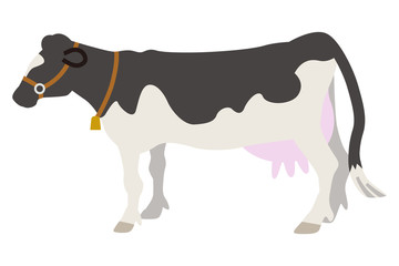 乳牛 - Dairy Cattle