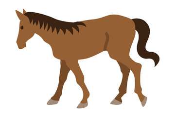 茶色い馬 - Brown Horse