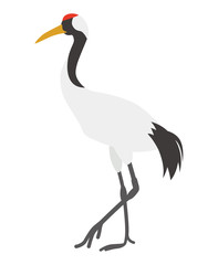 Obraz premium タンチョウ - Japanese Crane