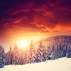 Beautiful winter landscape
