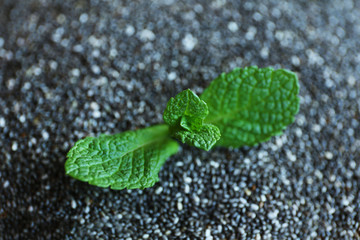 Chia seeds with mint leaves, closeup © Africa Studio