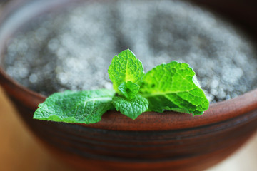 Bowl of chia seeds with mint leaves, closeup