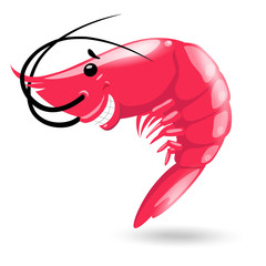 Smiling red sea cartoon shrimp on white background. Vector illustration