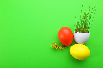 Easter eggs with fresh grass on green background