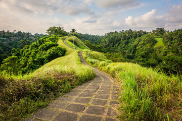 paseo por campuhan ridge, ubud