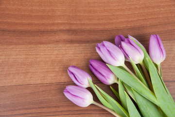 Obraz na płótnie Canvas tulips background