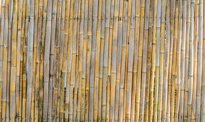Bamboo wooden texture pattern background