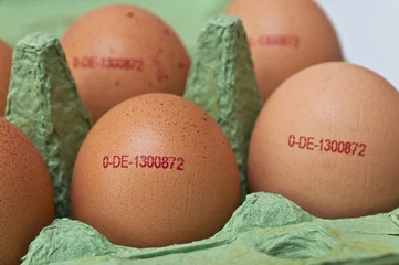 Deurstickers Erzeugungscode auf Hühnerei  © Stockfotos-MG