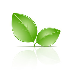 Vector illustration of ecology icon with glossy green leaves