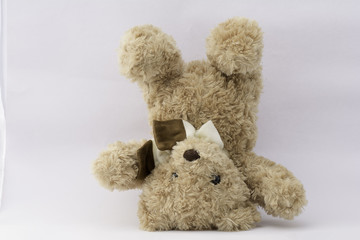 Brown teddy bear on white background.