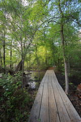Obraz premium Houston Arboretum Nature Center landscape view forest