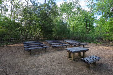 Houston Arboretum Nature Center landscape view forest