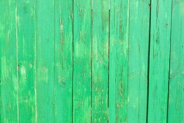 Fototapeta na wymiar Vintage wood background with green paint