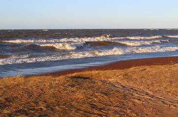 Large waves of the sea and the sandy beach