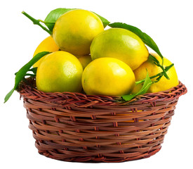 Lemons in basket isolated on white