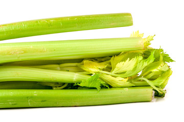 fresh green celery isolated on white background