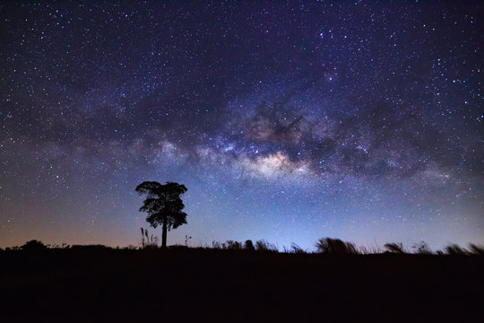 Silhouette of tree and beautiful milkyway on a night sky. Long e