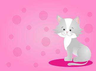 Cute kitten on pink background