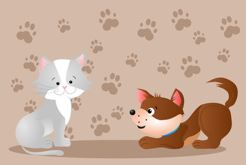 Cat and dog playing