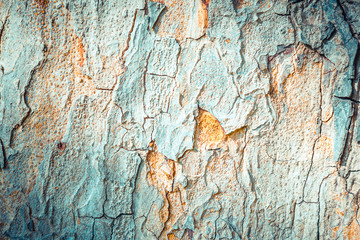 Close up of raw wood texture.
