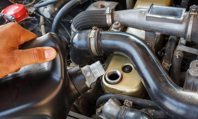 Obraz na płótnie Canvas Car's mechanic checking oil.