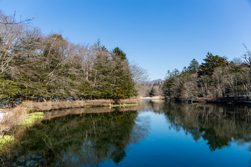 Fototapeta na wymiar Lake in japan