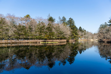 Lake in karuizawa