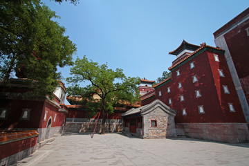 Fototapeta premium summer palace in beijing, china