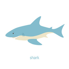 Shark. Cartoon character.