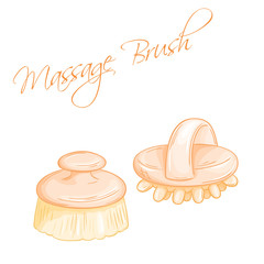 vector hand drawn illustration of isolated massage brushes