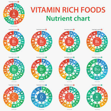 Vitamin rich foods. Nutrient chart. Foods high in vitamins. Vector illustration diagram chart set of vitamins A, B1, B2, B3, B5, B6, B7, B9, B12, C, D, E, K