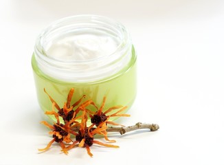 Hautpflege, Hamamelis virginiana, Naturkosmetik, Zaubernuss,